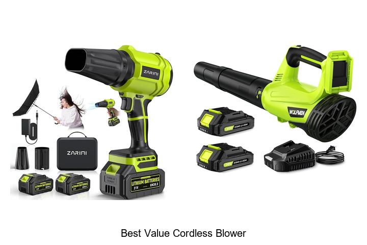 Best Value Cordless Blower: Unbeatable Power & Price!