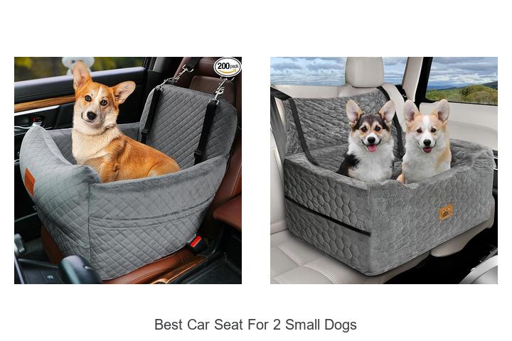 Top 12 Best Car Seat for 2 Small Dogs You Can’t Miss!