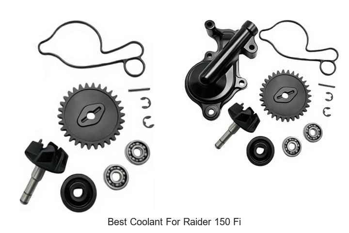 Top 12 Best Coolant For Raider 150 FI You Must Try Now!